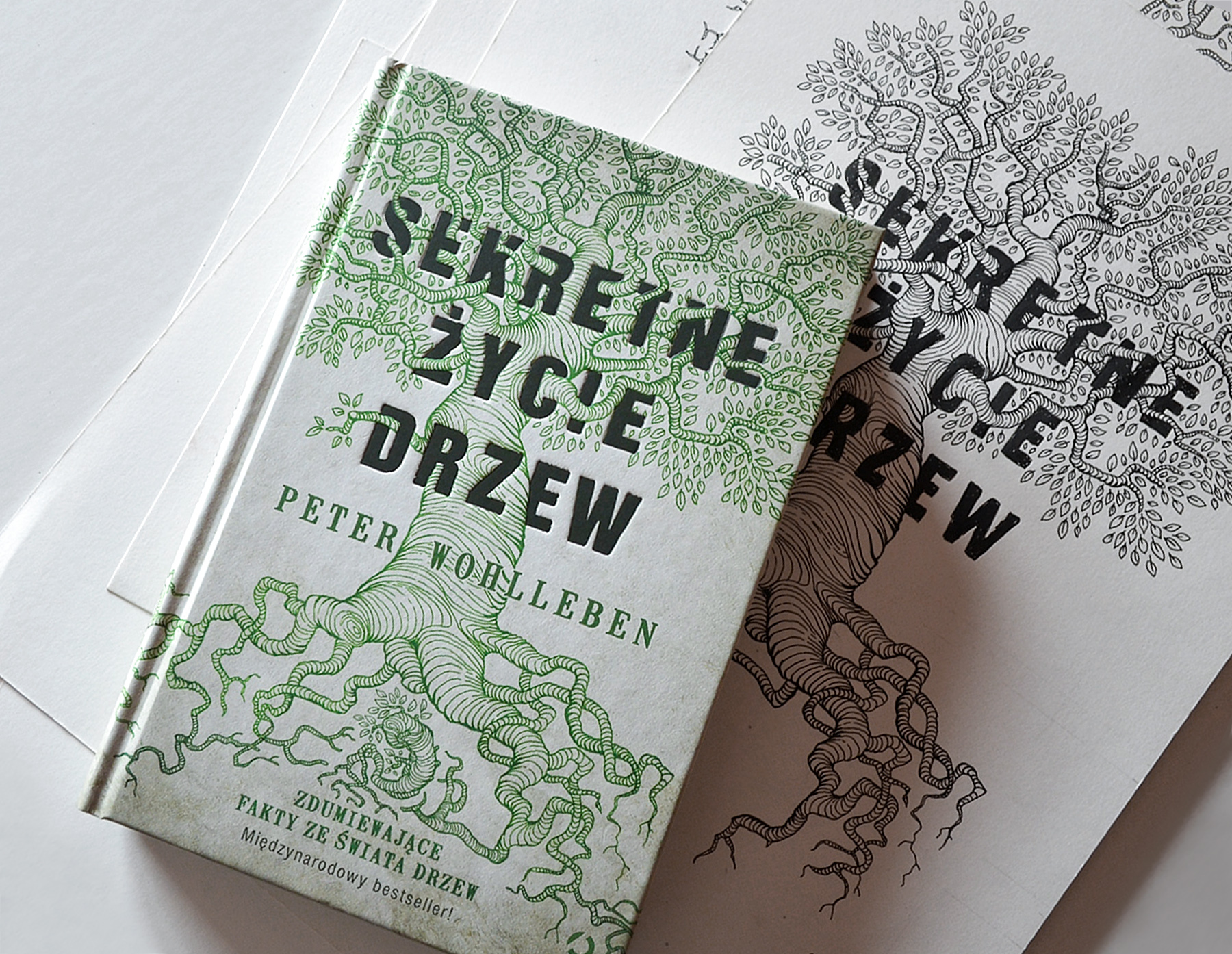 Book Cover _063