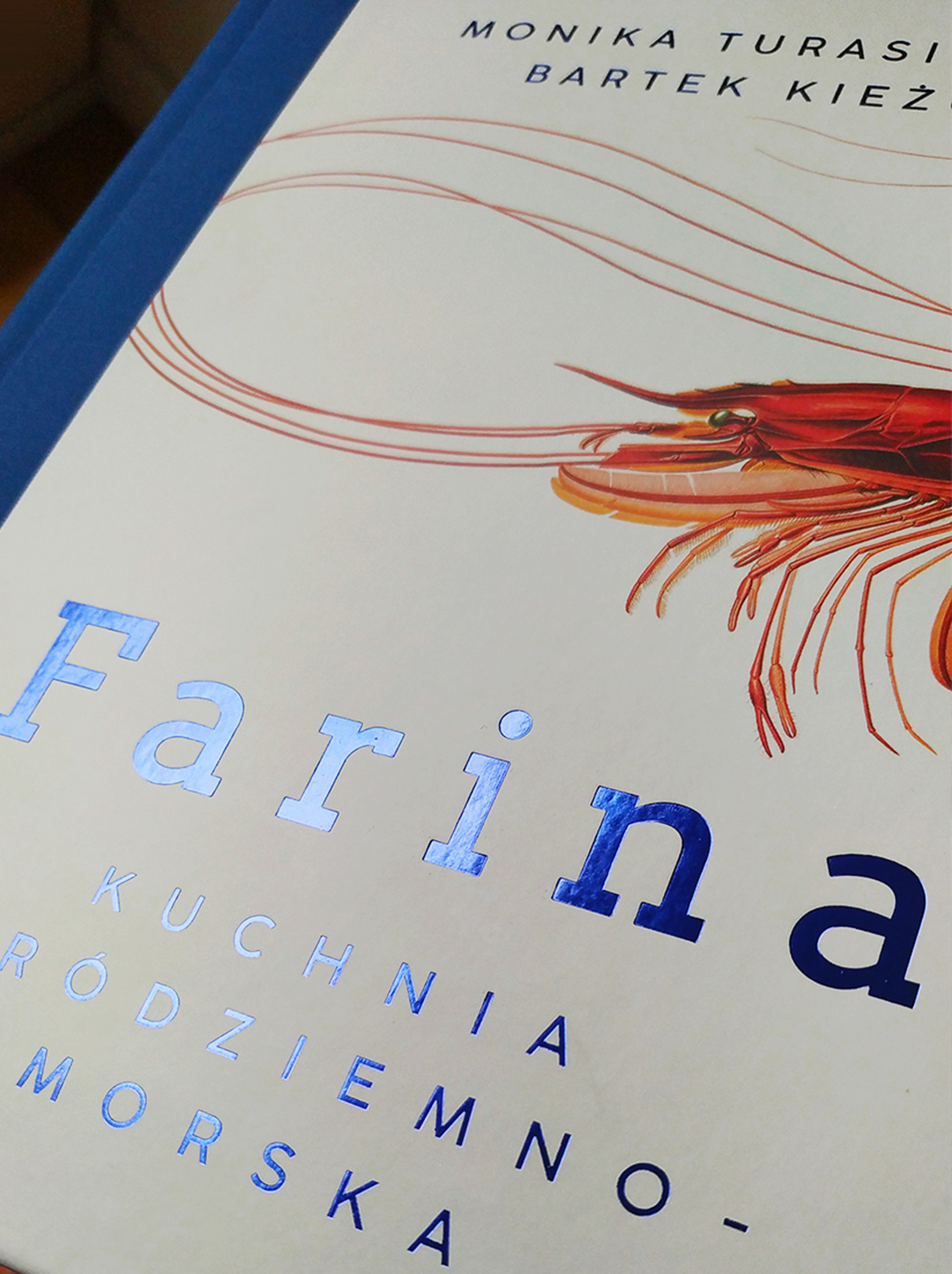 Book Cover _023