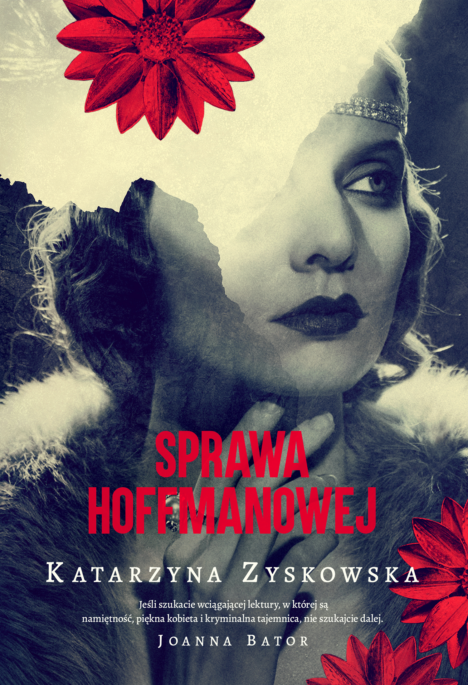 Book Cover _100