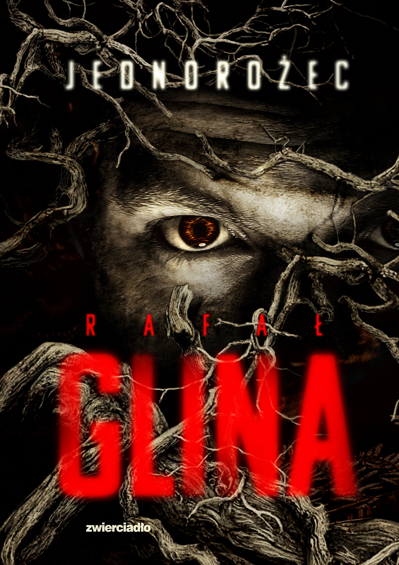 Book Cover _017