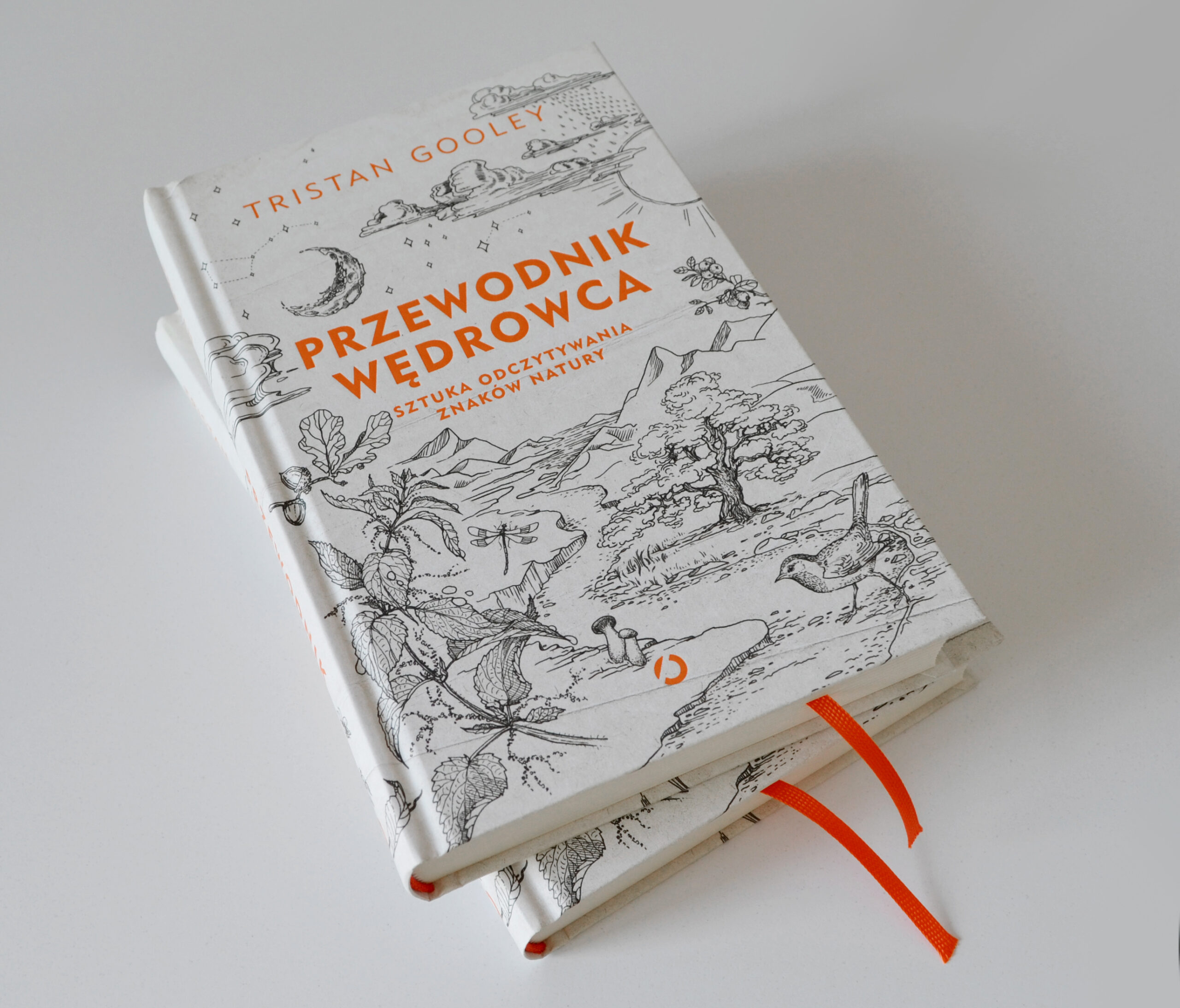 Book Cover _058