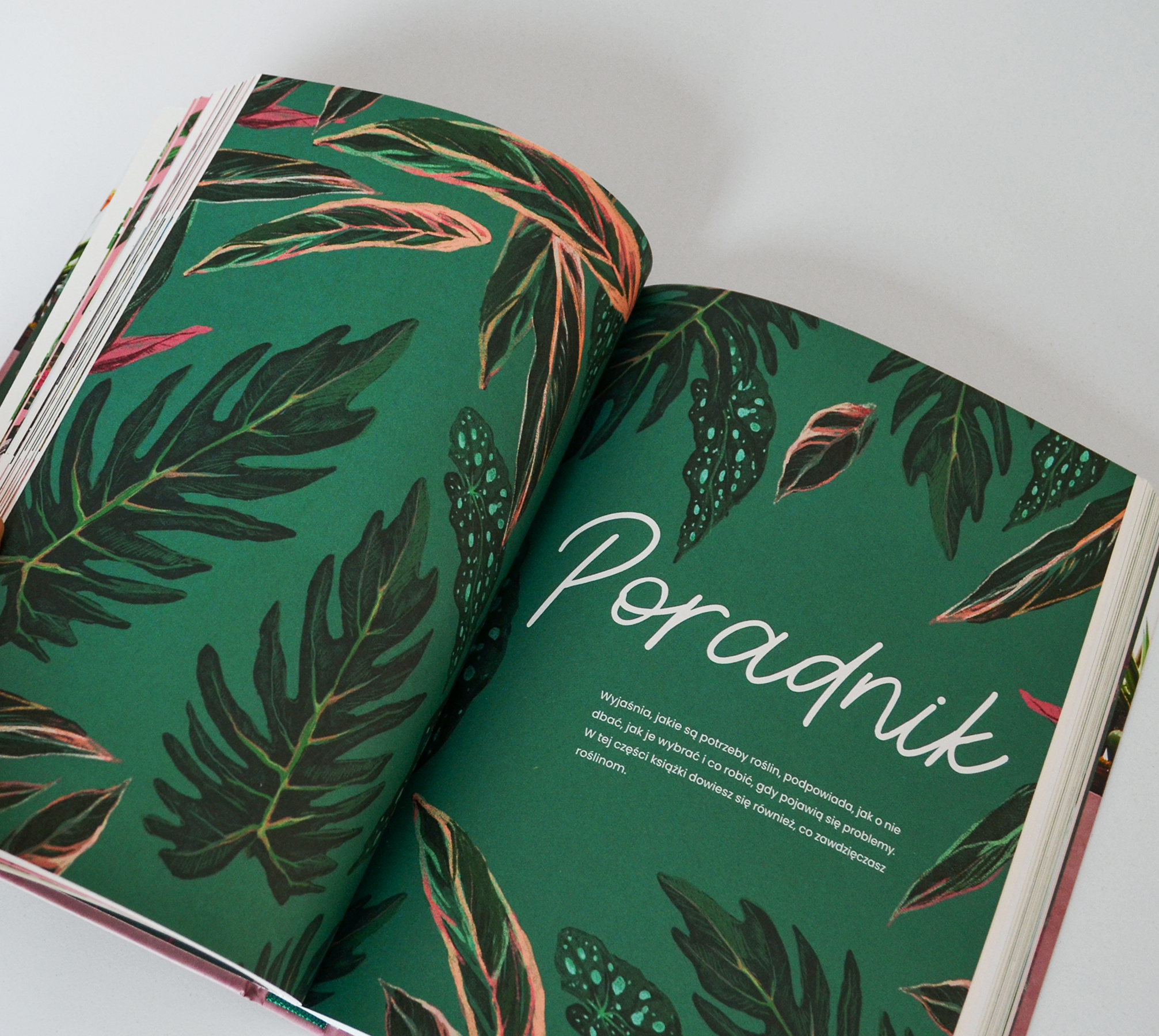 Cover & layout design _ 5/2018