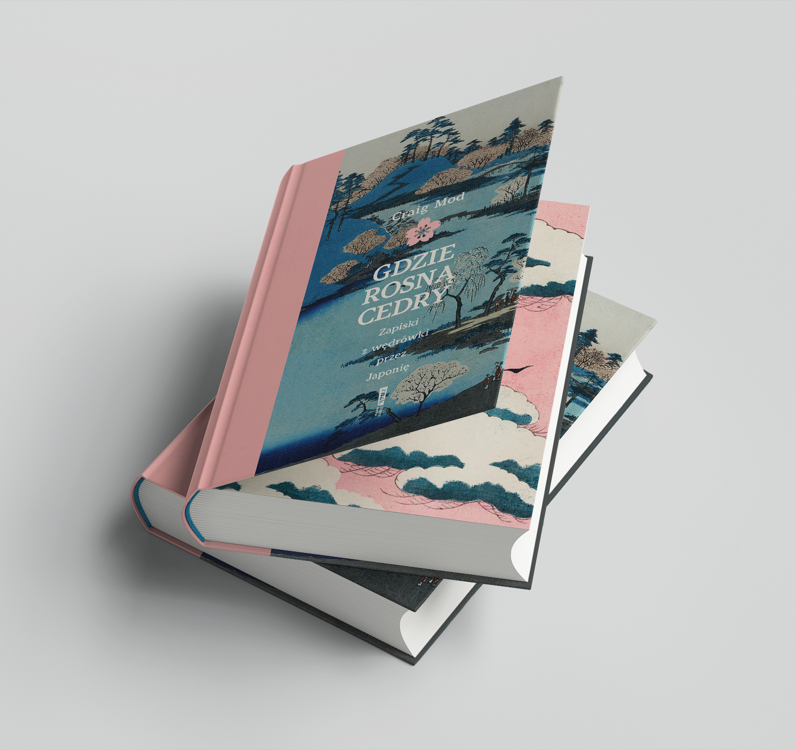 Book Cover _104